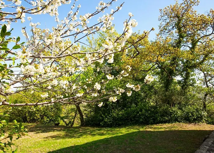 Pardi Country house *